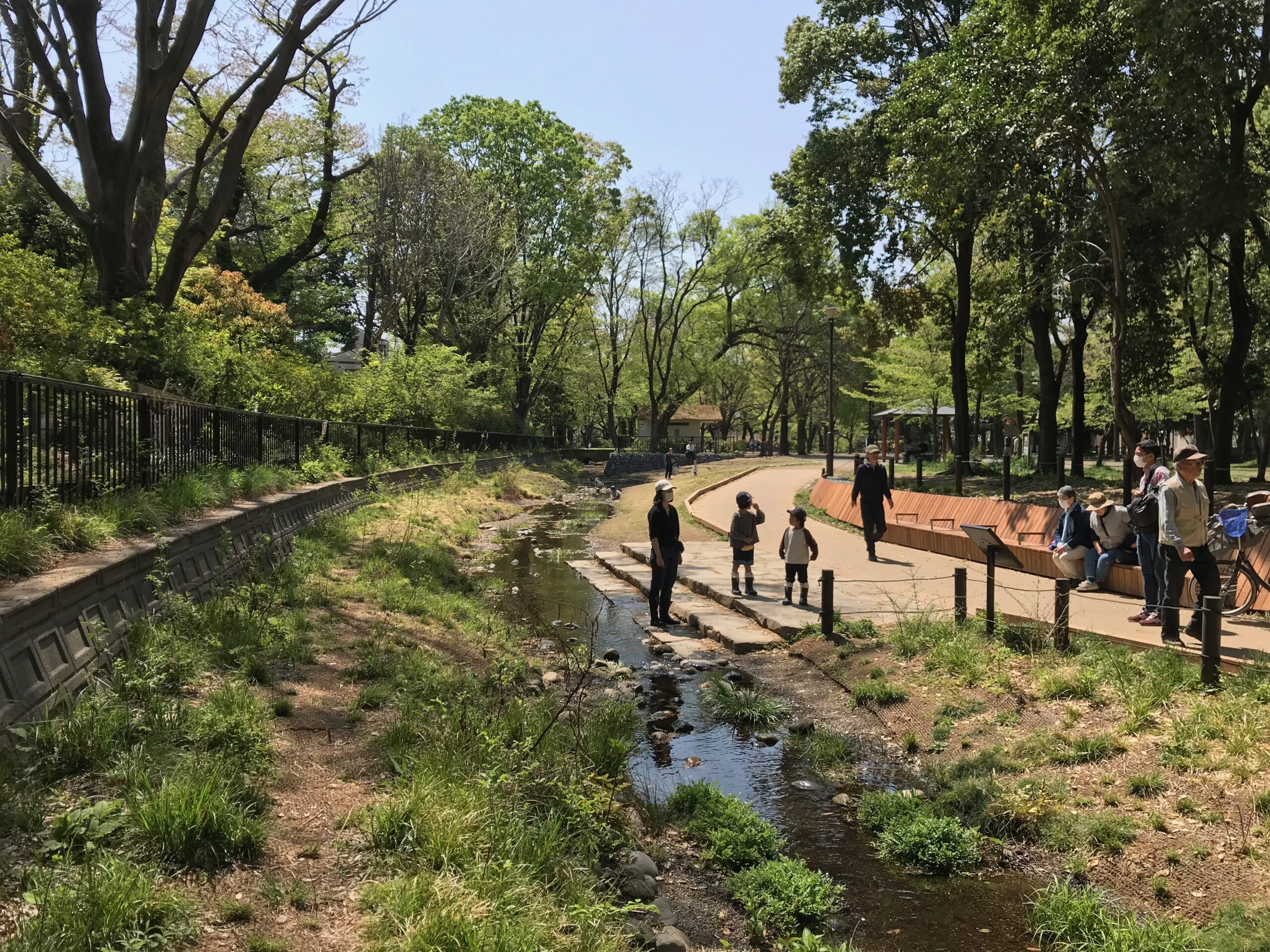 善福寺公園遅野井川親水施設